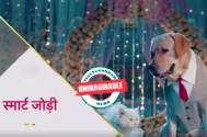 Unimaginable! Find out the HIGHEST paid couple in Star Plus’s show ‘Smart Jodi’