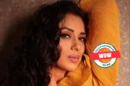 WOW! Anupamaa fame Rupali Ganguly believes in living life king size and these pictures of her luxurious house are proof 