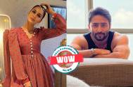 WOW! Check out the actual equation between Erica Fernandes and Shaheer Sheikh 