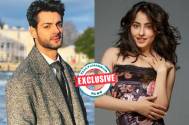 EXCLUSIVE! Karan Wahi and Niyati Fatnani starrer Star Bharat's upcoming show gets a TITLE
