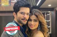 Surprising! Shamita Shetty finally reveals the truth behind her breakup with Raqesh Bapat, Details inside