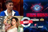 Bigg Boss 16: WHAT! From MC Stan to Tina Dutta, these contestants’ educational qualifications  are beyond your imagination