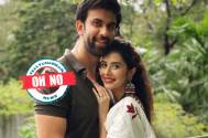 Oh No! Charu Asopa and Rajeev Sen head for divorce again, their patch-up wasn’t foolproof