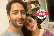 Aww! Shaheer Sheikh shares an appreciation post for wife Ruchikaa Kapoor, says, “In complete awe”