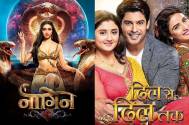 From Naagin to Dil Se Dil Tak, here are Indian shows inspired by Bollywood films