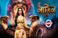 Exclusive! Naagin 6 gets a one-month extension; the show to go off air in March 2023 ?