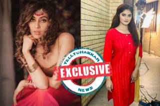 EXCLUSIVE! Alka Singh and Meghna Aggarwal roped in for SAB TV's Maddam Sir  