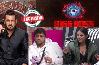 Bigg Boss 16: Exclusive! Shalin gets targeted in the foam task as contestants feel that he needs a clear vision; gets into a fig